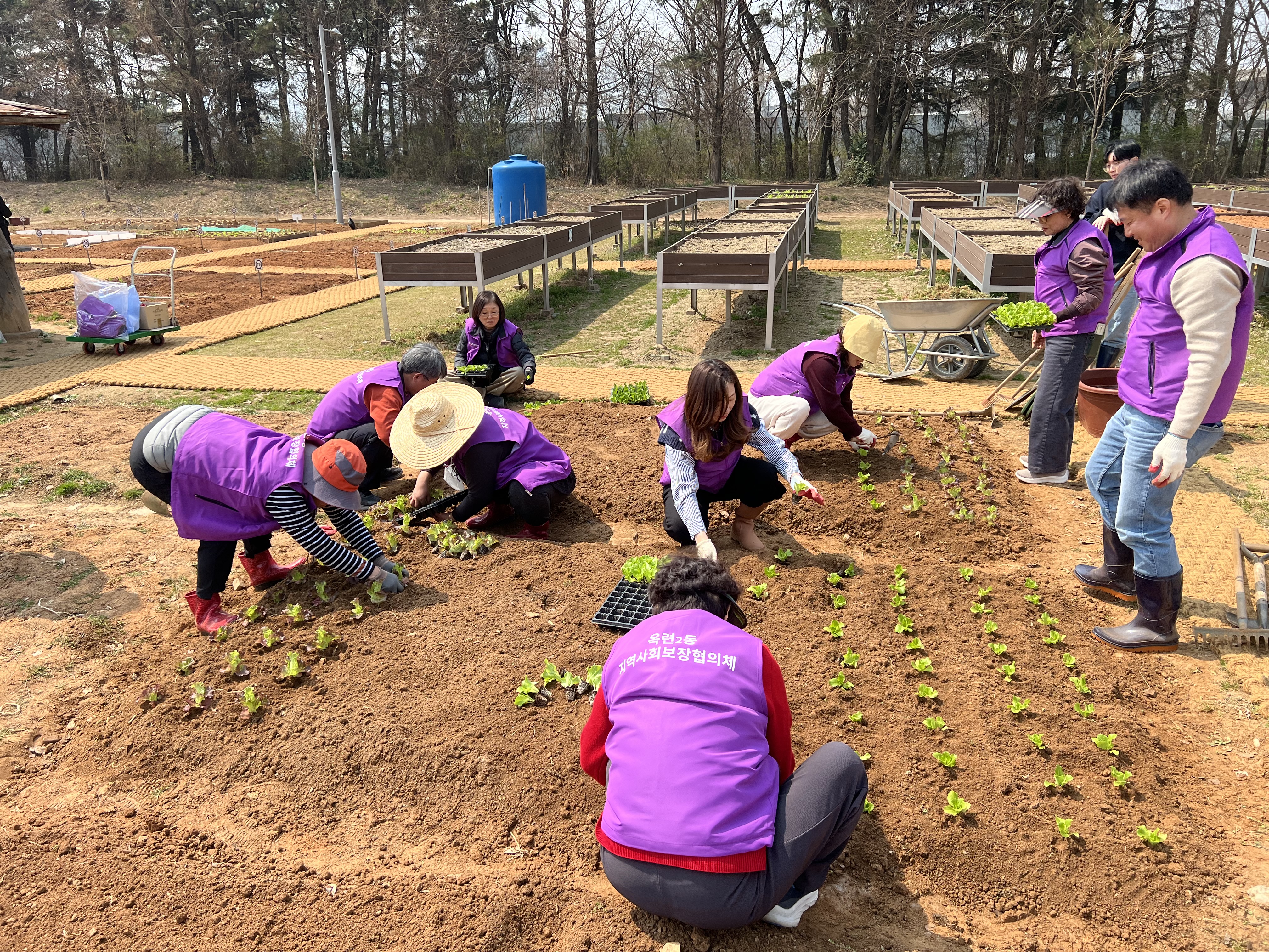 연수구 옥련2동 지역사회보장협의체는 지난 3일 희망텃밭 가꾸기 사업 시작을 알리는 개장식을 진행했다